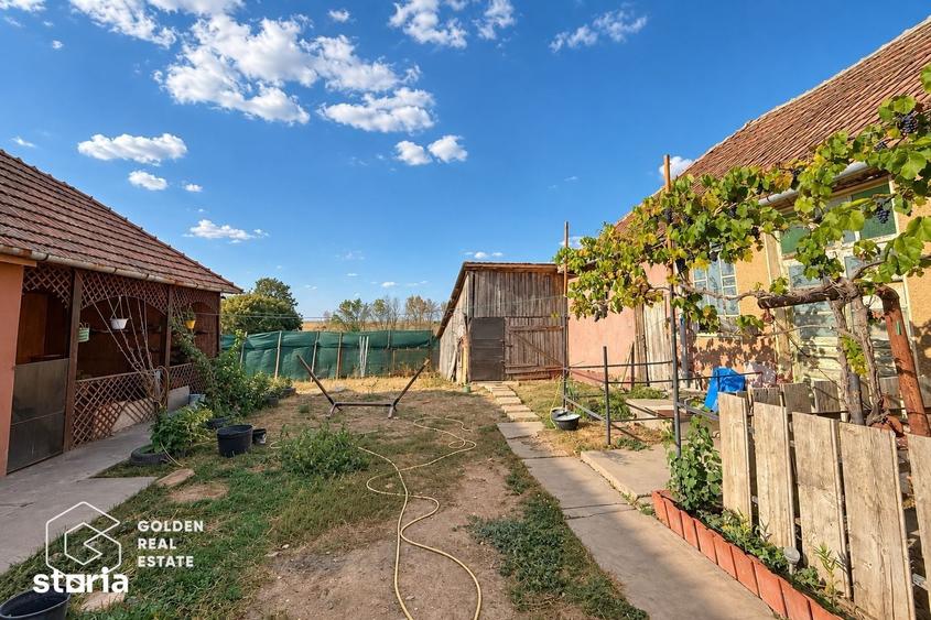 Casă cu 5 camere cu Teren 4320 Mp în Șagu