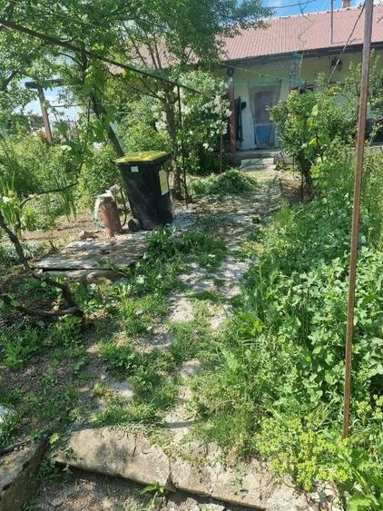 Casă individuală cu 3 camere cu Teren 2000 Mp în Cotu Văii