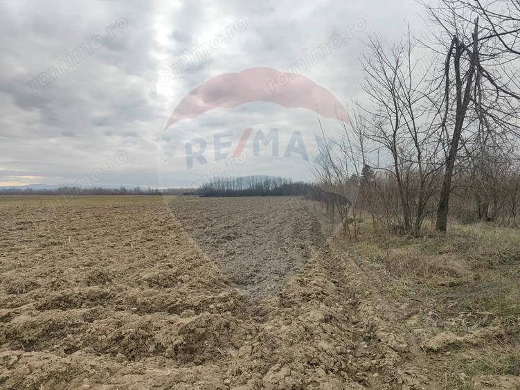 Teren de 12193 mp, în Jena