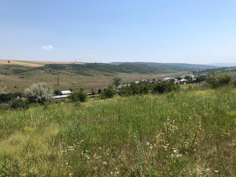 Teren de 5000 mp, în Vânători