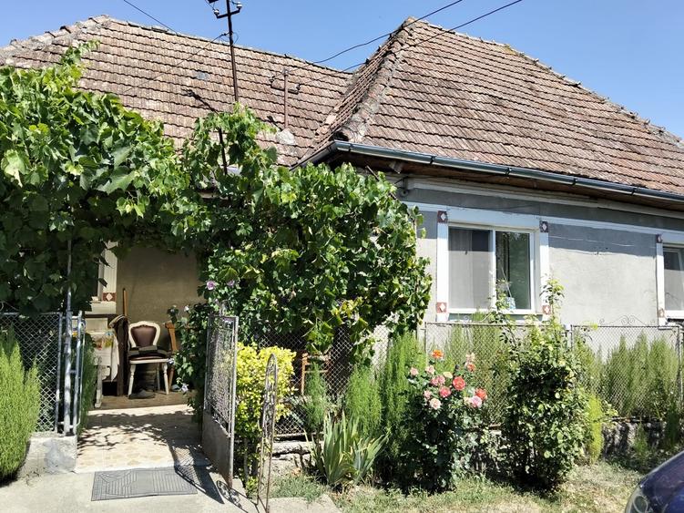 Casă individuală cu 2 camere cu Teren 1400 Mp în Borșa