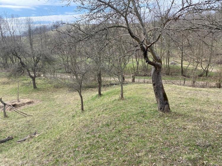 Teren de 4700 mp, în Romos