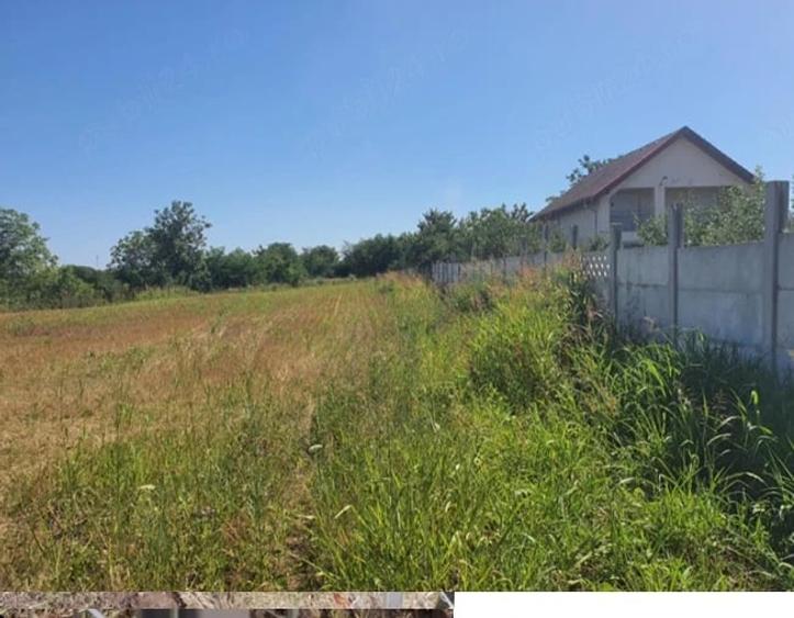 Teren de 2637 mp, în Lilieci