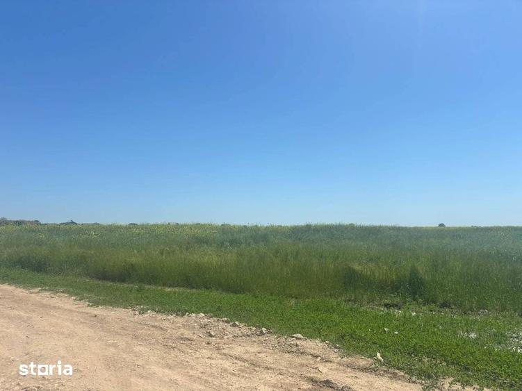 Loturi teren 500 m P+1+M Berceni - Vidra Actele la zi Puz valabil - 1