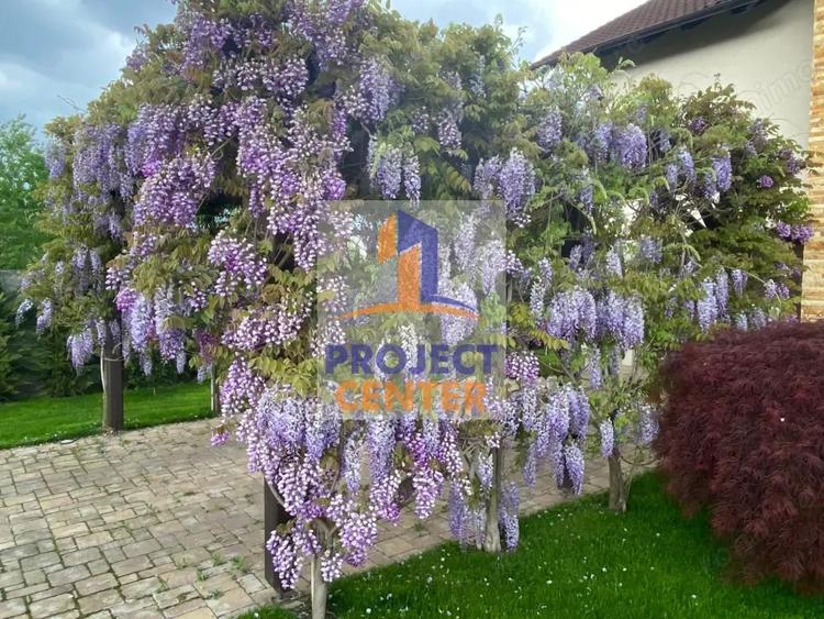 Vila Premium langa Padure | Platou Gavana | 1000 mp teren - 14