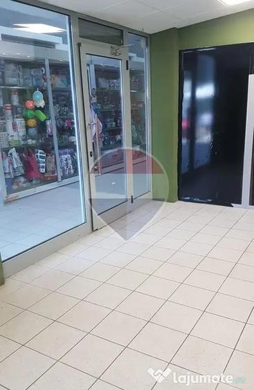 INCHIRIERE Spatiu comercial in Piata Domenii - 3