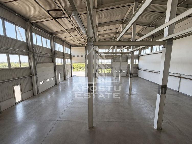 Spațiu industrial, de 1,453 mp, în Torontalului