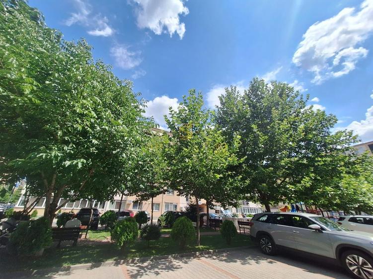 Apartament 2 camere tip studio,  zona Metalurgiei, Sector 4 - 16