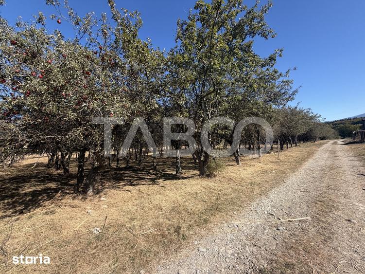 Teren de 750 mp, în Sâmbăta de Sus