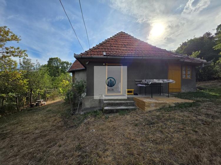 Casă individuală cu 3 camere cu Canalizare în Vălișoara