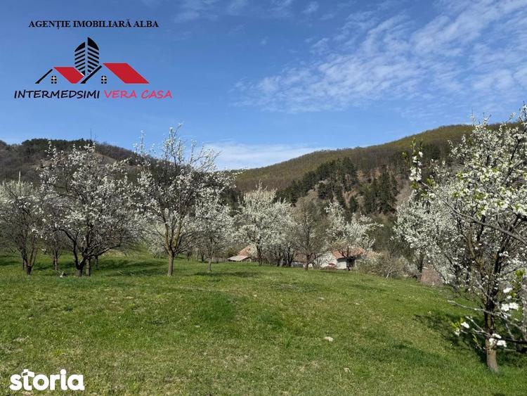 Teren de 13698 mp, în Vințu de Jos