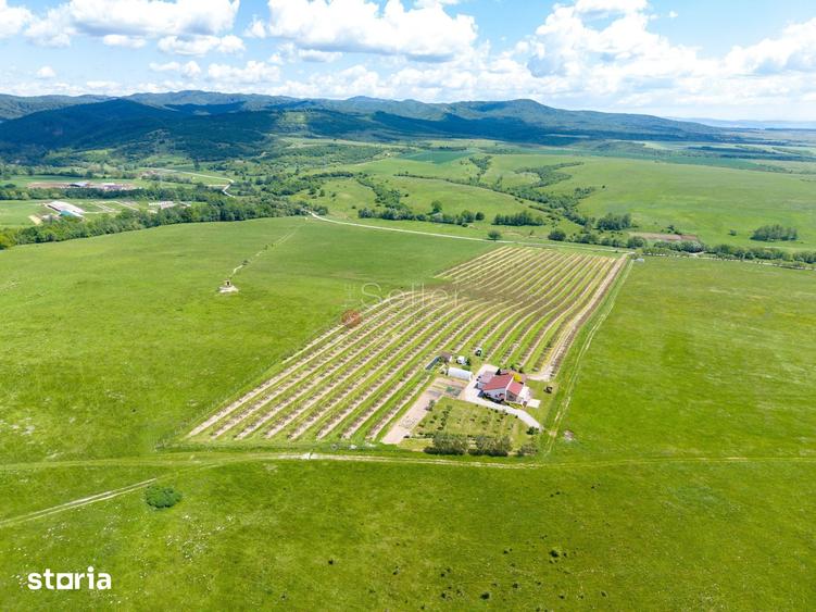 Casă cu 4 camere cu Teren 68800 Mp în Dumbrăvița