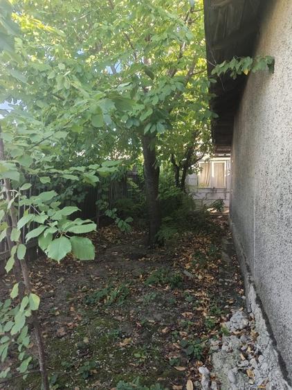 Casă cu 3 camere în Ulmu