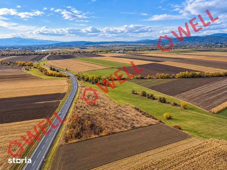 Teren de 11300 mp, în Valea Crișului