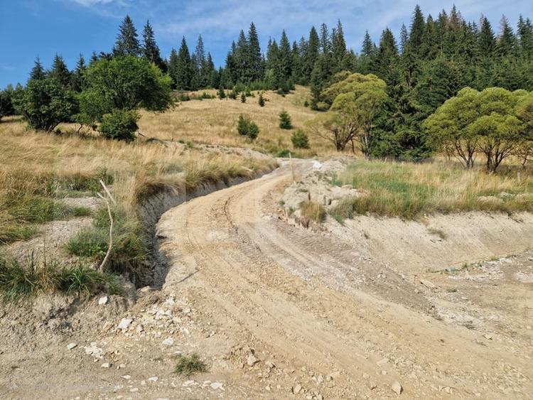 Teren intravilan, 1499 mp, zona Vatra Dornei - 4