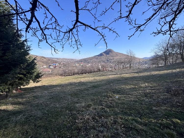 Teren de 5000 mp, în Gârcina