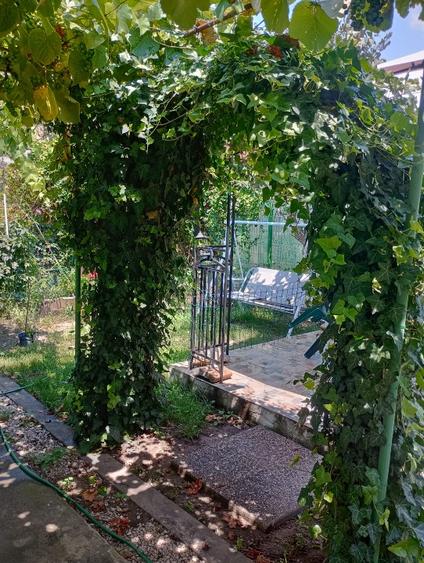Apartament 4 camere curte comuna Iosefin - 3