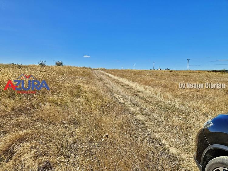 Teren Construcții intravilan de 2000 mp, în Bradu