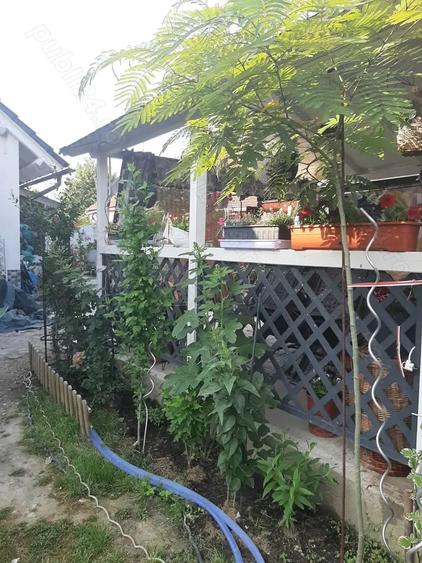 Casa de vanzare Sannicolau Mare - 3