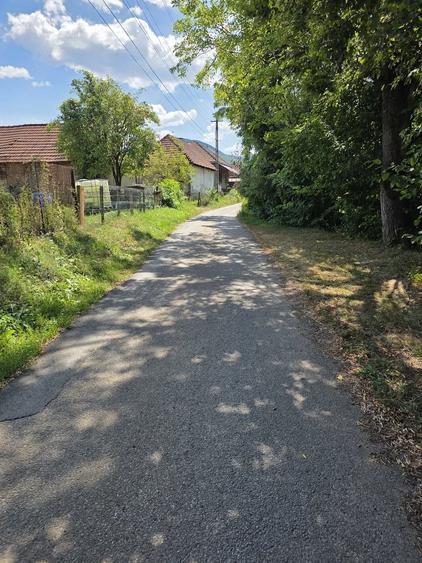 Teren de 4903 mp, în Lunca (Baia de Criș)