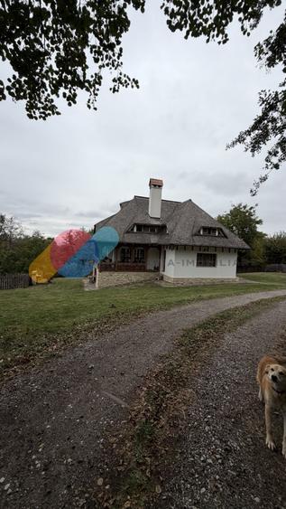 Casă individuală cu 3 camere cu Teren 3000 Mp în Sălicea