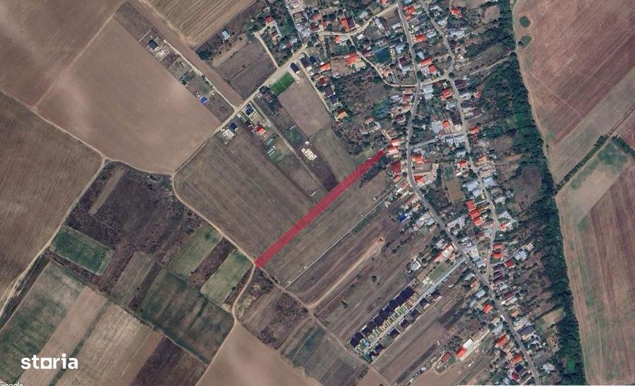 Teren de 3600 mp, în Cernica