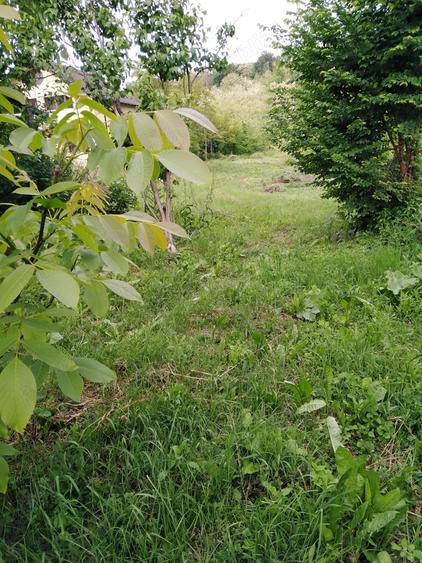 Teren de 2250 mp, în Smeura