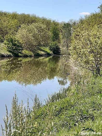 Teren de 2621 mp, în Petrăchioaia