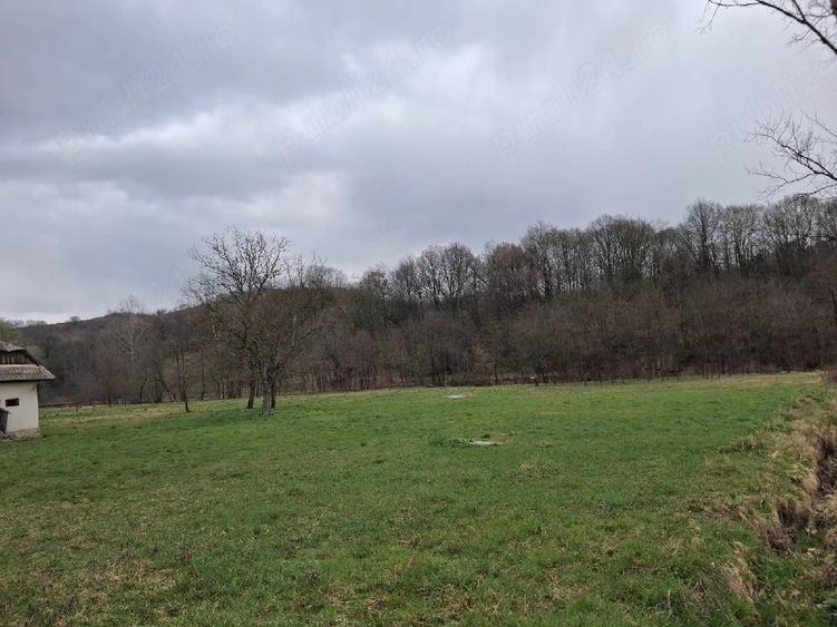Teren de 5500 mp, în Făurești