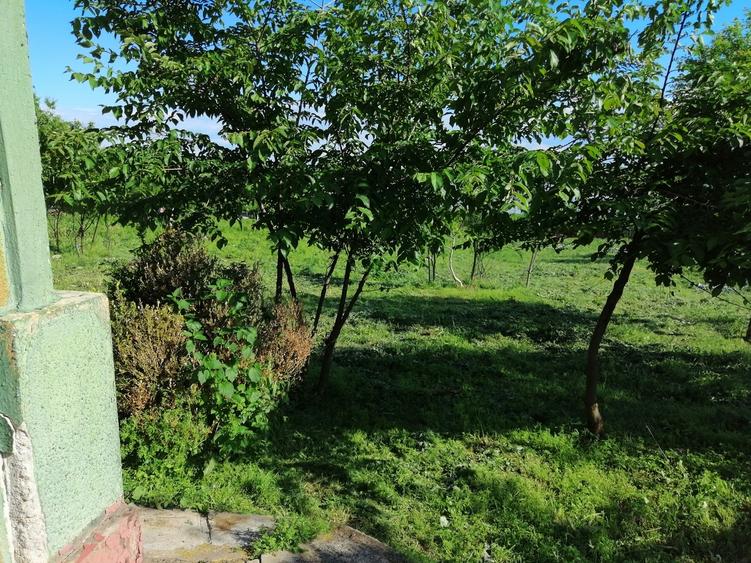 Casă cu 4 camere cu Teren 2300 Mp în Sud