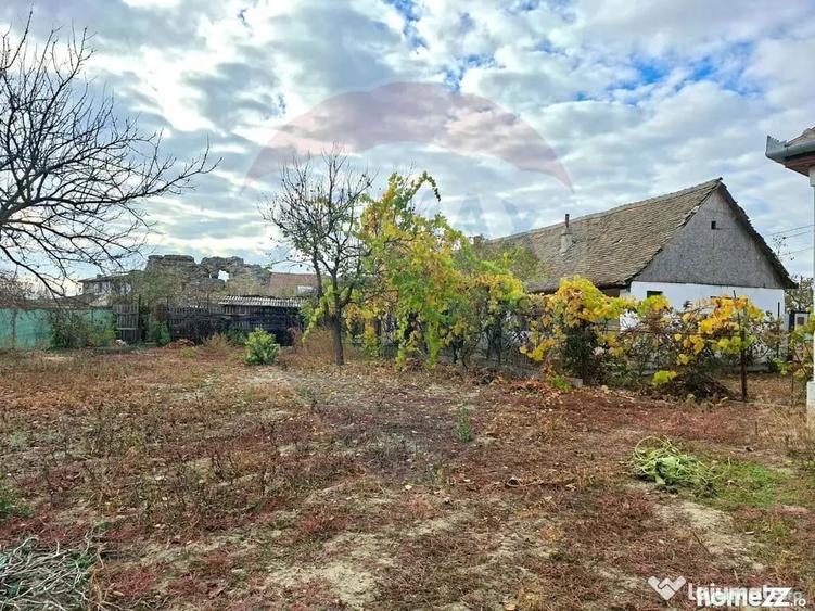 Casă cu 2 camere cu Teren 929 Mp în Vladimirescu