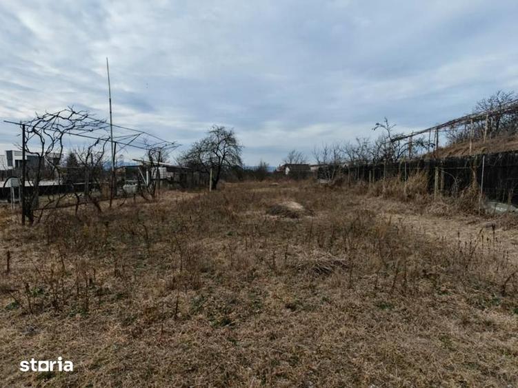 Teren de 1660 mp, în Letea Veche