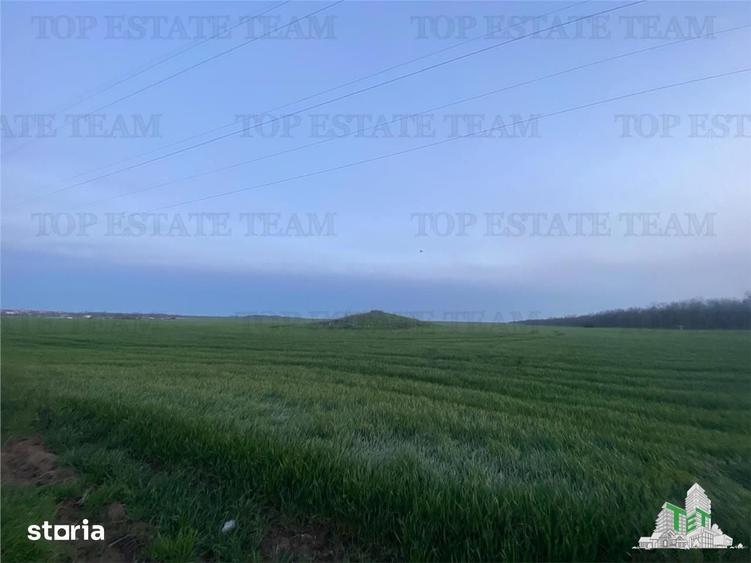 Teren de 15000 mp, în Central