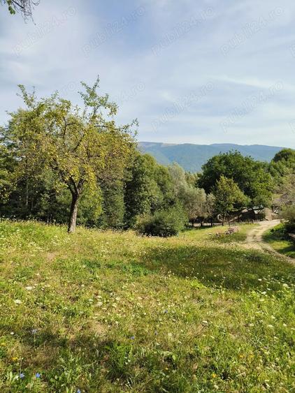 Teren de 3800 mp, în Slatina