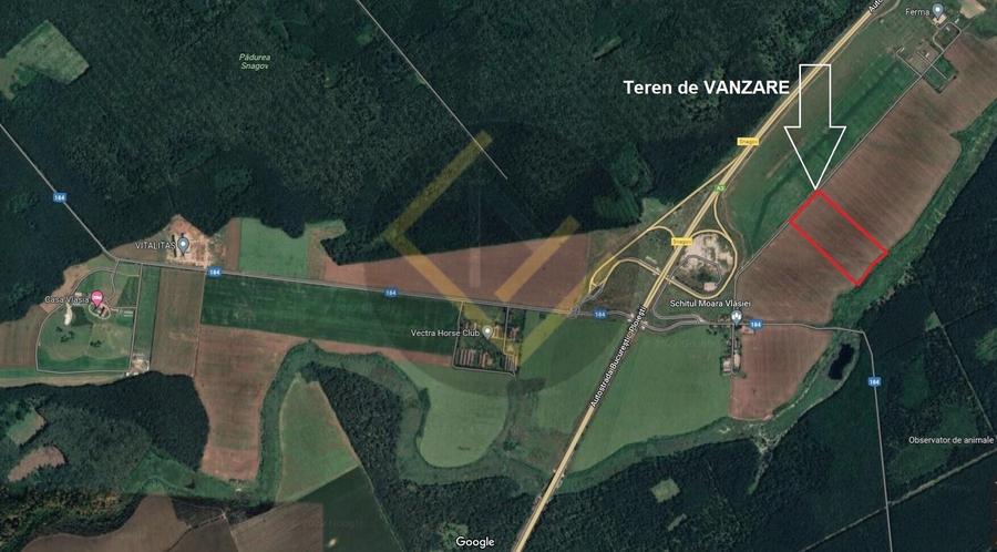 Teren Construcții intravilan de 91000 mp, în Snagov
