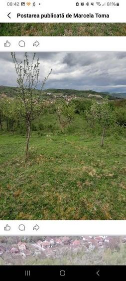 Teren extravilan de 5800 mp, în Aiudul de Sus