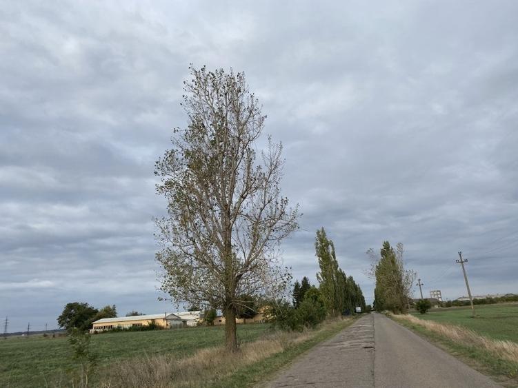 Spațiu industrial, de 10,900 mp, în Central