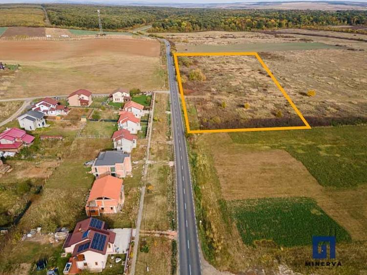 Teren Construcții extravilan de 19000 mp, în Pișchia