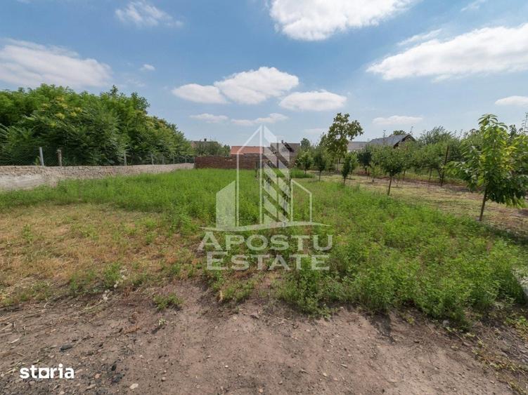 Se vinde casa in Teremia Mare, renovata, teren generos de 1.439 mp - 10