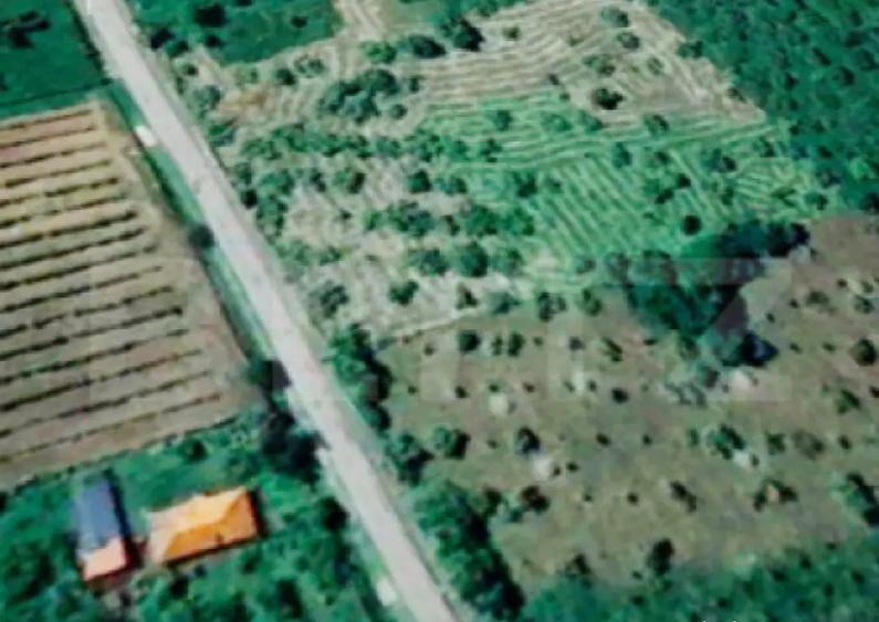 Teren intravilan 10.000 mp | Deschidere 40 m | Zona de pad - 3