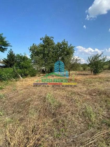 Teren de 1500 mp, în Petrești