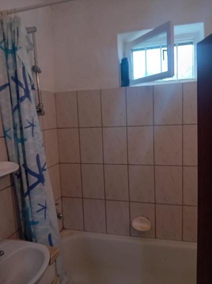 Casă cu 2 camere în Viile Satu Mare