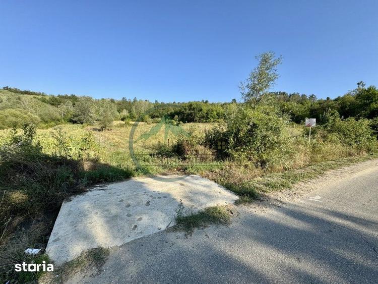 Teren de 33290 mp, în Broșteni