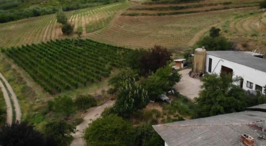 Teren intravilan de 1000 mp, în Est