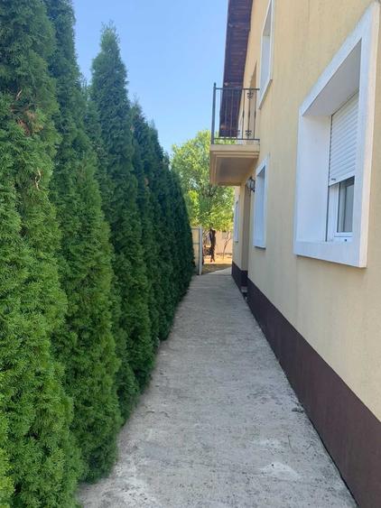 Casă cu 4 camere în Boldești
