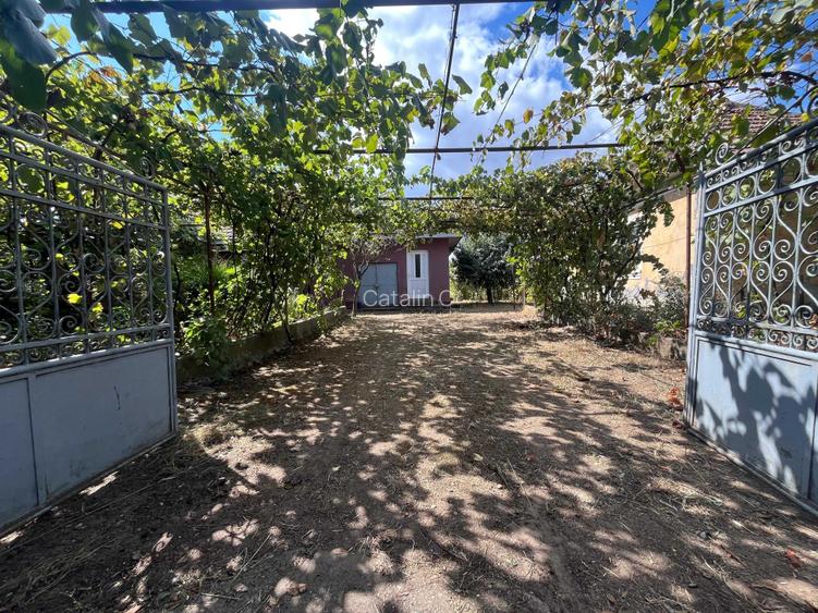 Casa de vanzare in Izimsa, comuna Obarsia de Camp, jud. Mehedinti teren 2.000 mp.