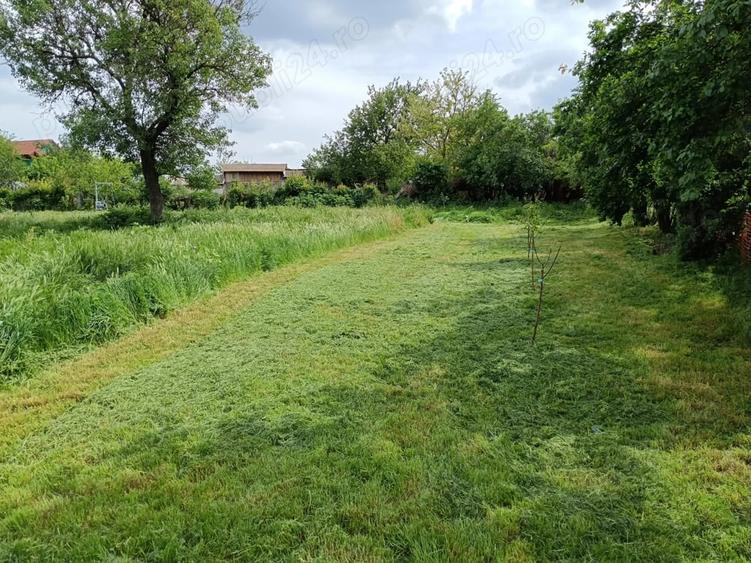 Teren de 1550 mp, în Uzunu