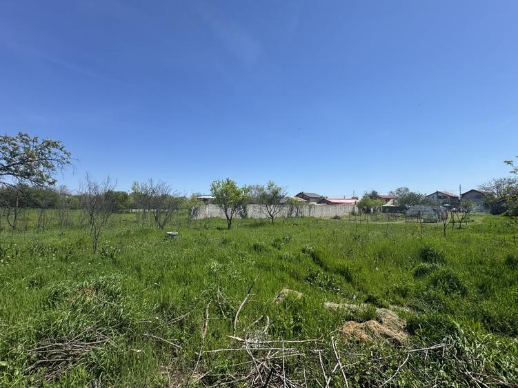 Teren Construcții intravilan de 2775 mp, în Clinceni