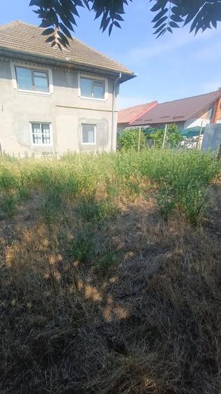 Casa P+1, 250 mp utili, 500 mp teren, zona Brestei - 2