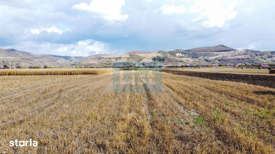 Teren de 5700 mp, în Mintiu Gherlii